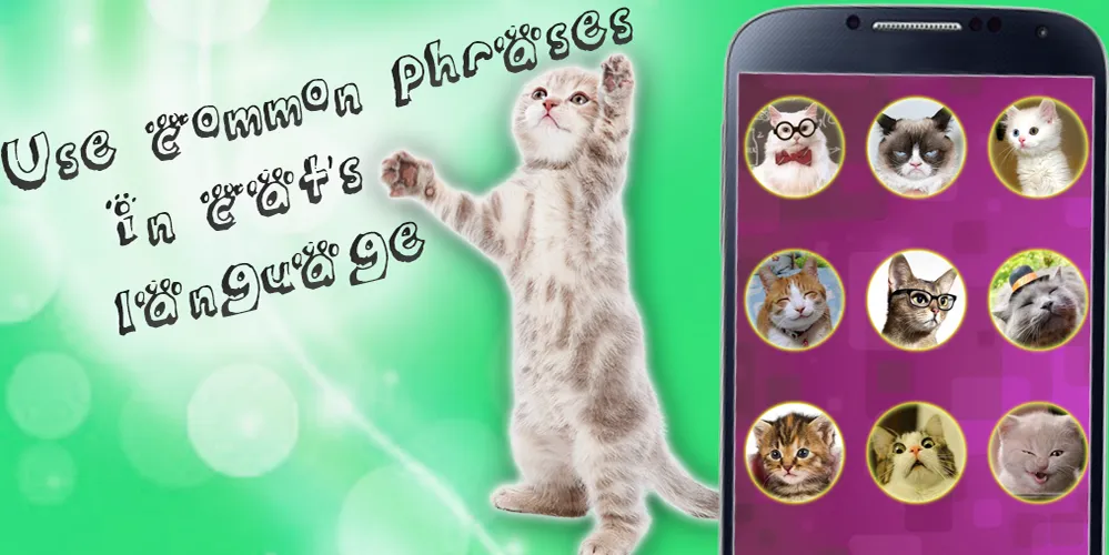 Translator for cats joke! | Indus Appstore | Screenshot