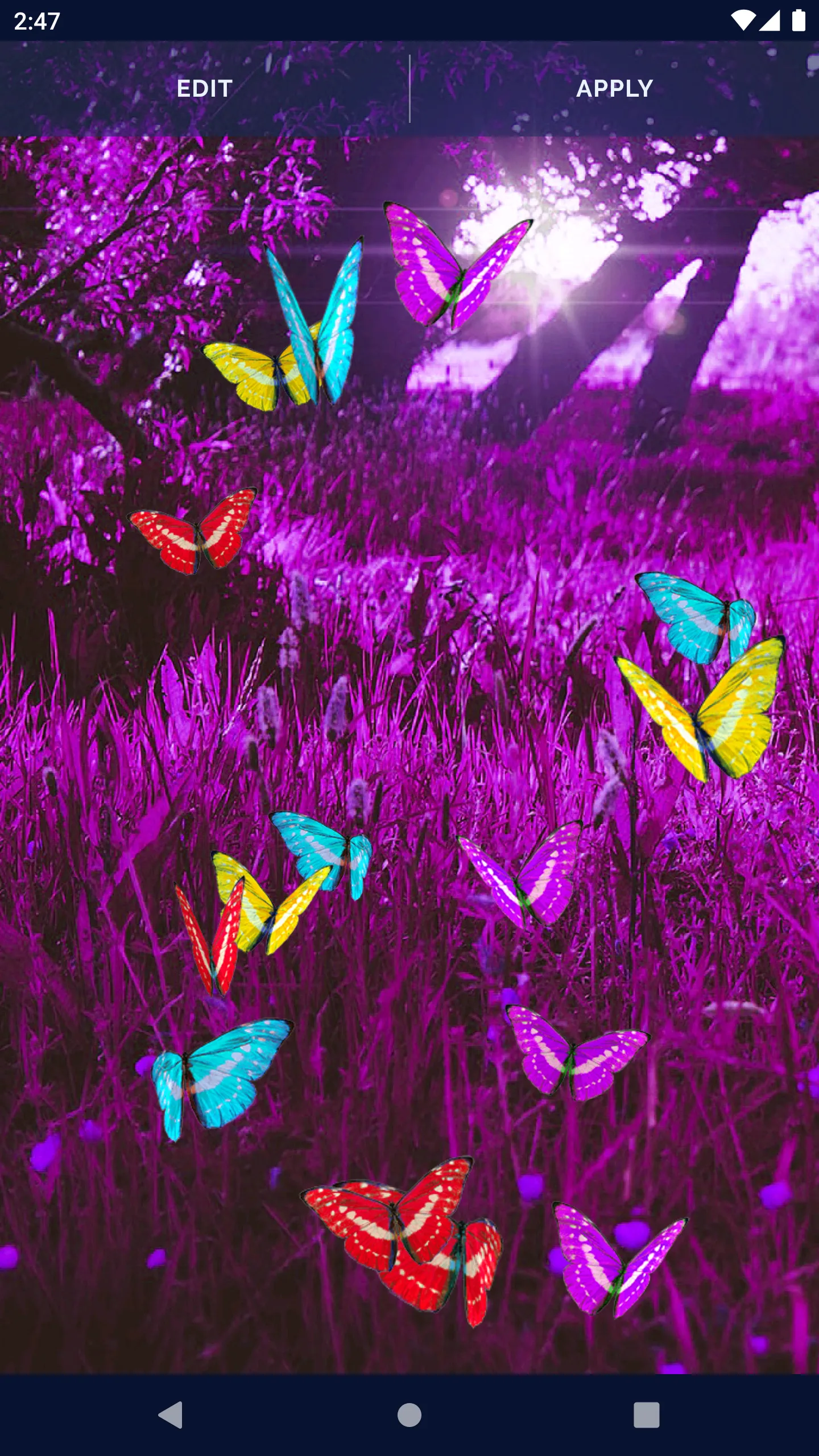 Butterfly Live Wallpaper | Indus Appstore | Screenshot