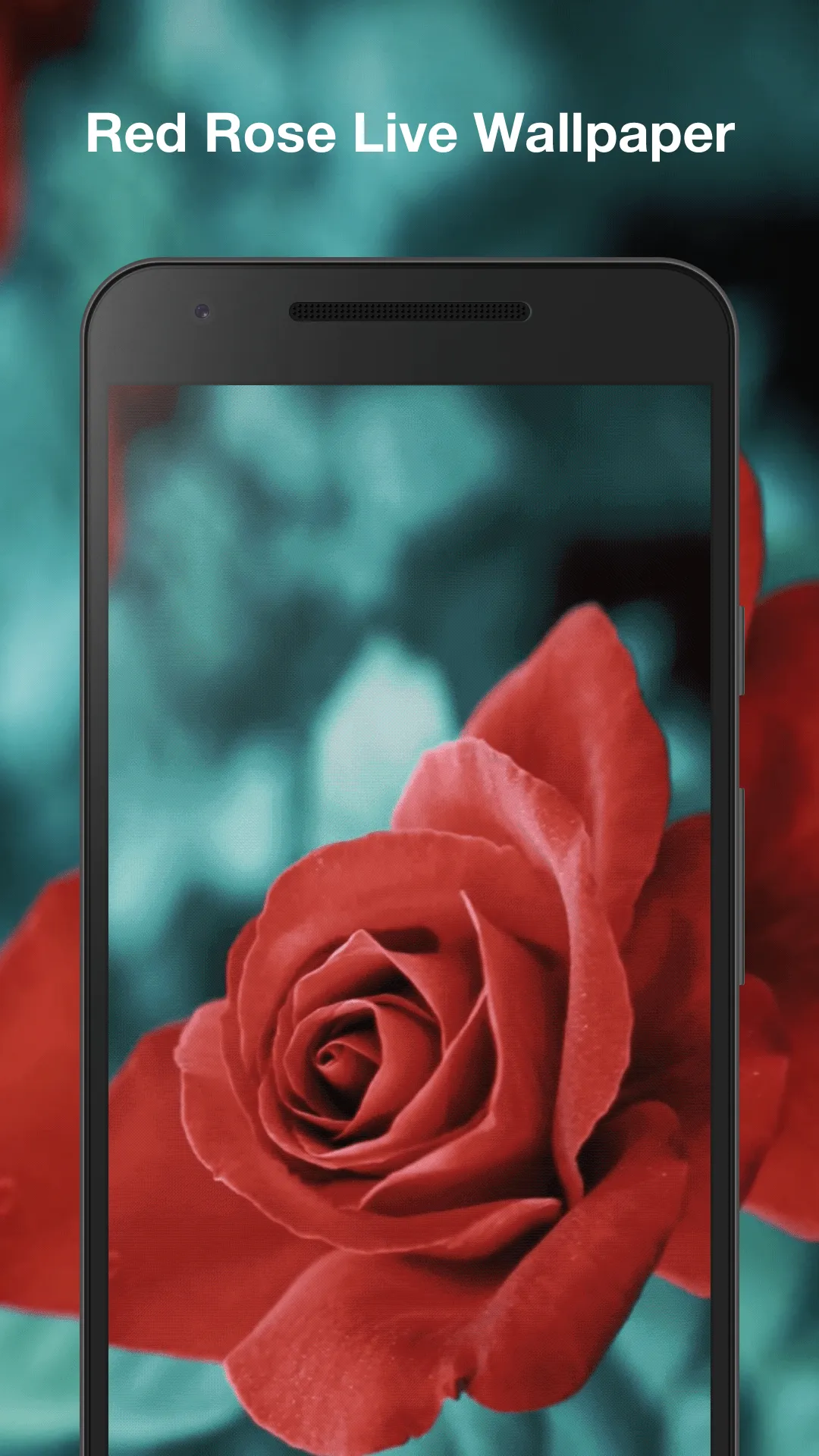 Red Rose Live Wallpaper | Indus Appstore | Screenshot