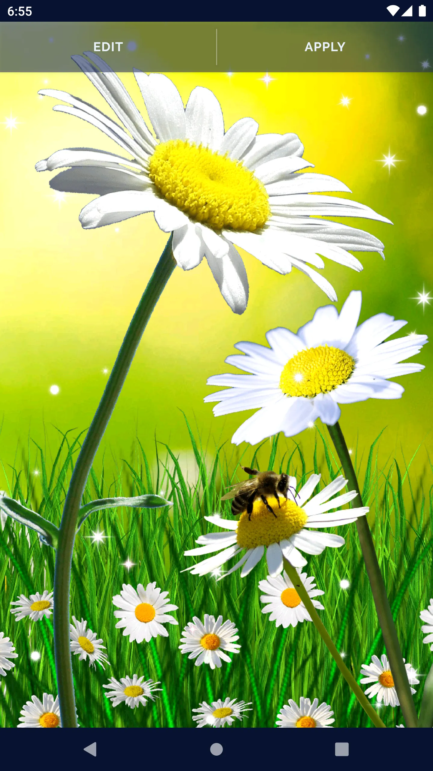 Daisy Parallax Wallpapers | Indus Appstore | Screenshot