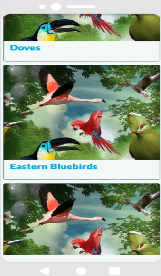 Birds Encyclopedia | Indus Appstore | Screenshot