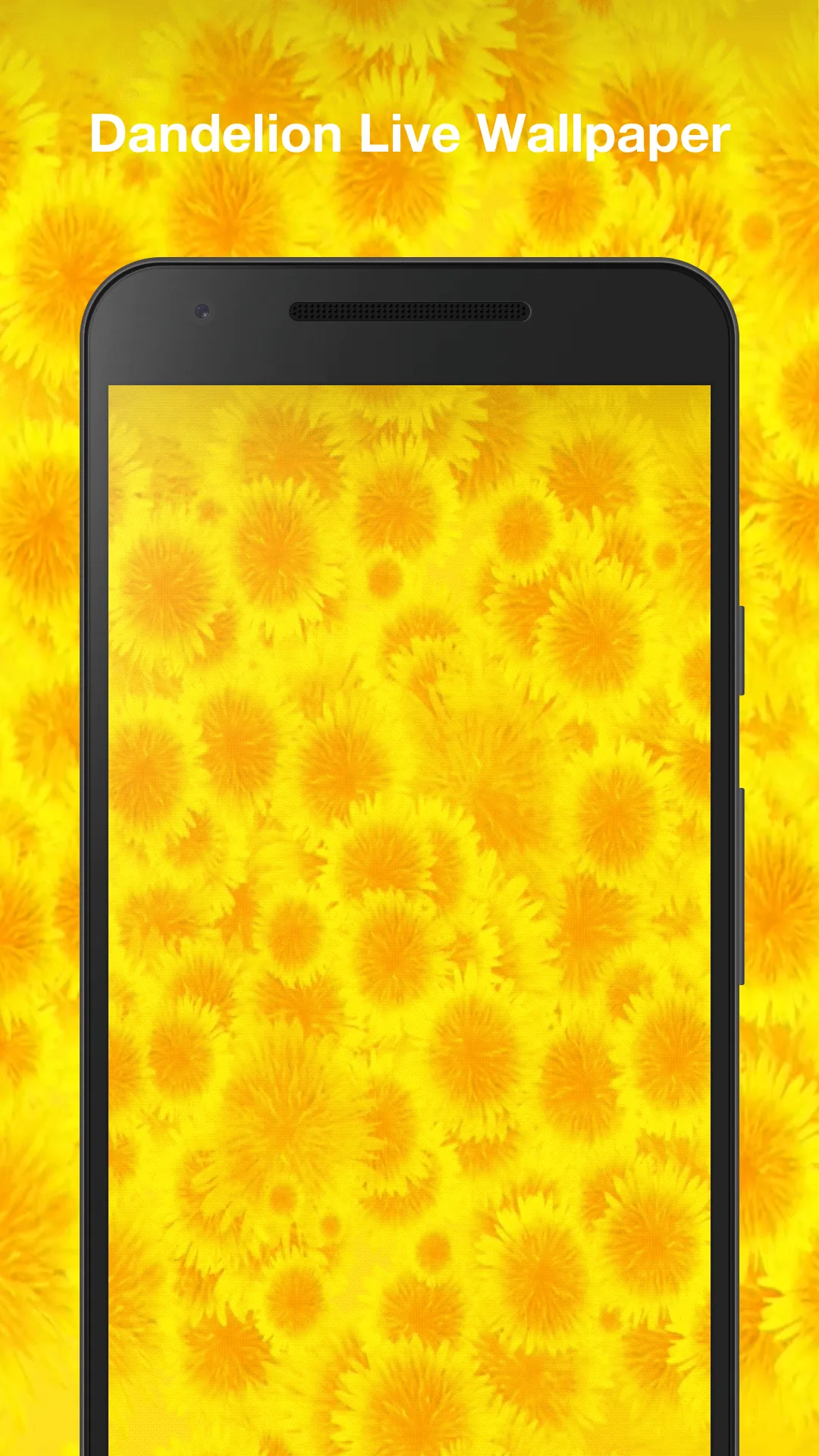 Dandelion Live Wallpaper | Indus Appstore | Screenshot