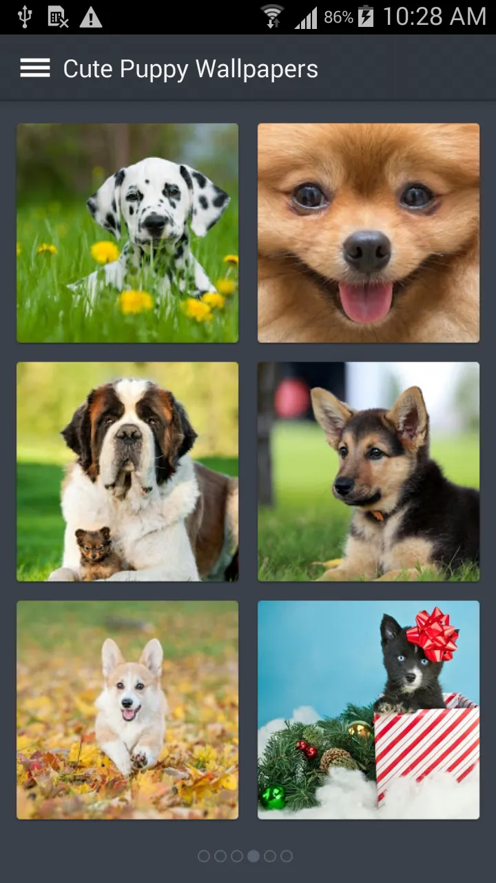 Cute Puppy Wallpapers | Indus Appstore | Screenshot