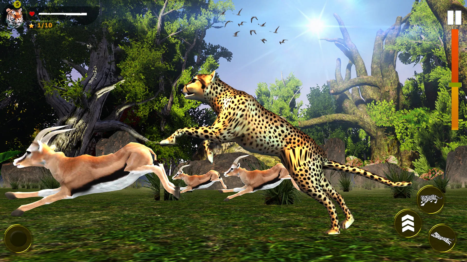 Wild Simulator 3D | Indus Appstore | Screenshot