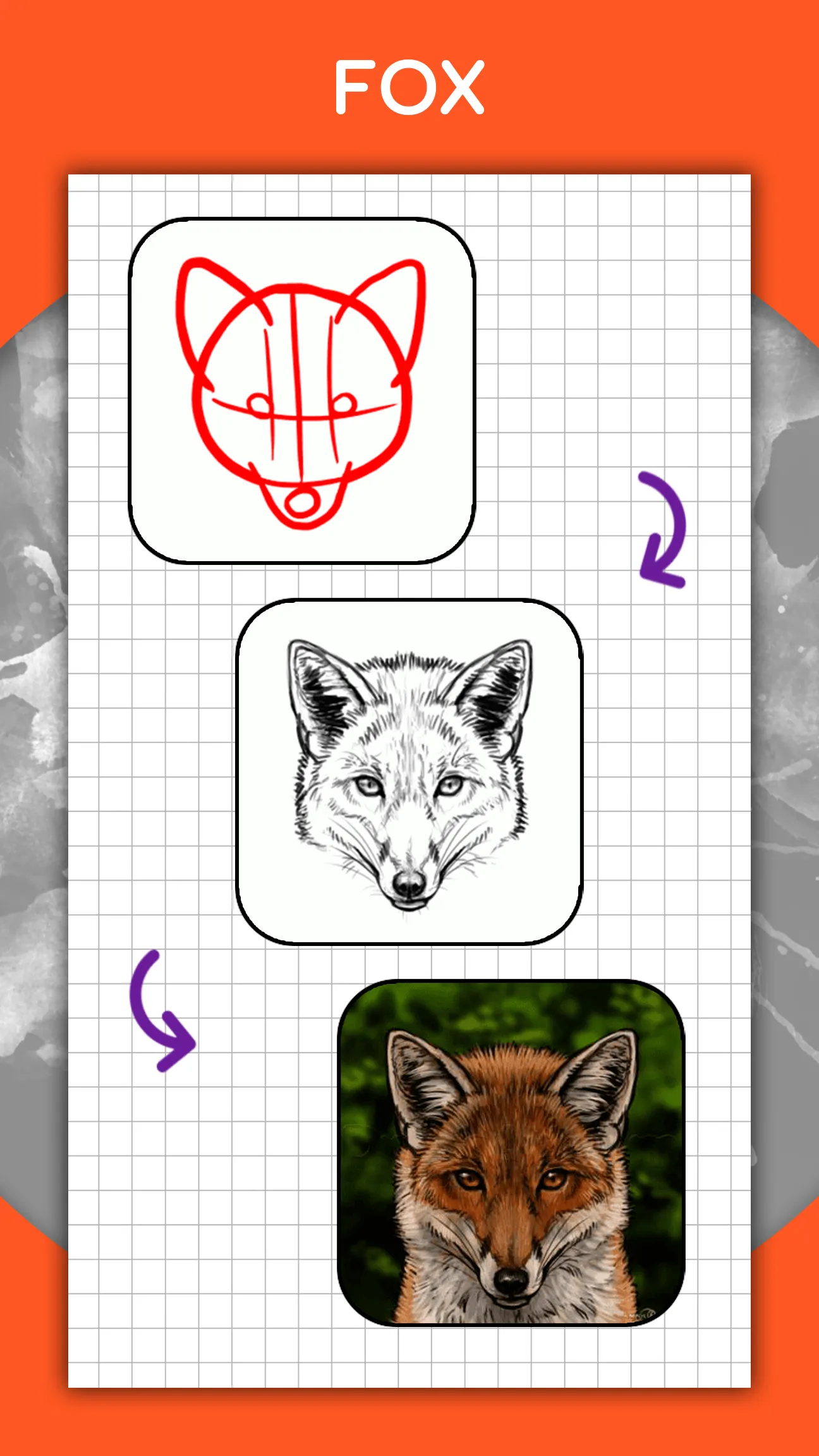 How to draw animals by steps | Indus Appstore | Screenshot