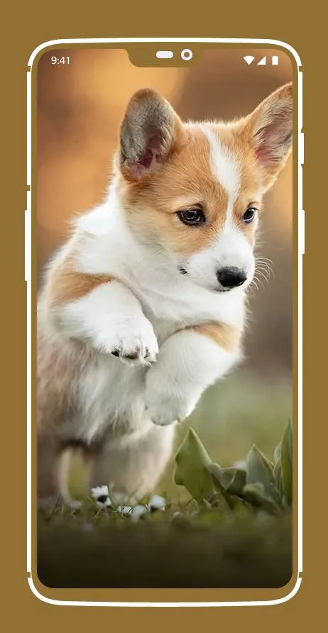 Cute Puppy Wallpapers | Indus Appstore | Screenshot