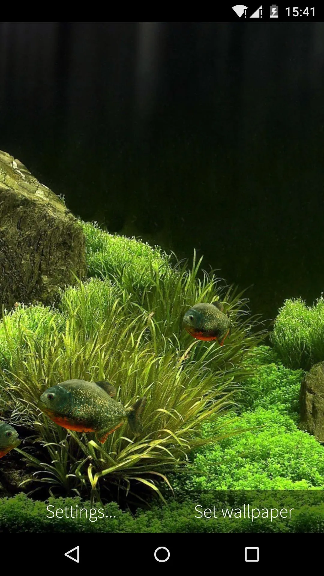 3D Fish Aquarium Wallpaper HD | Indus Appstore | Screenshot