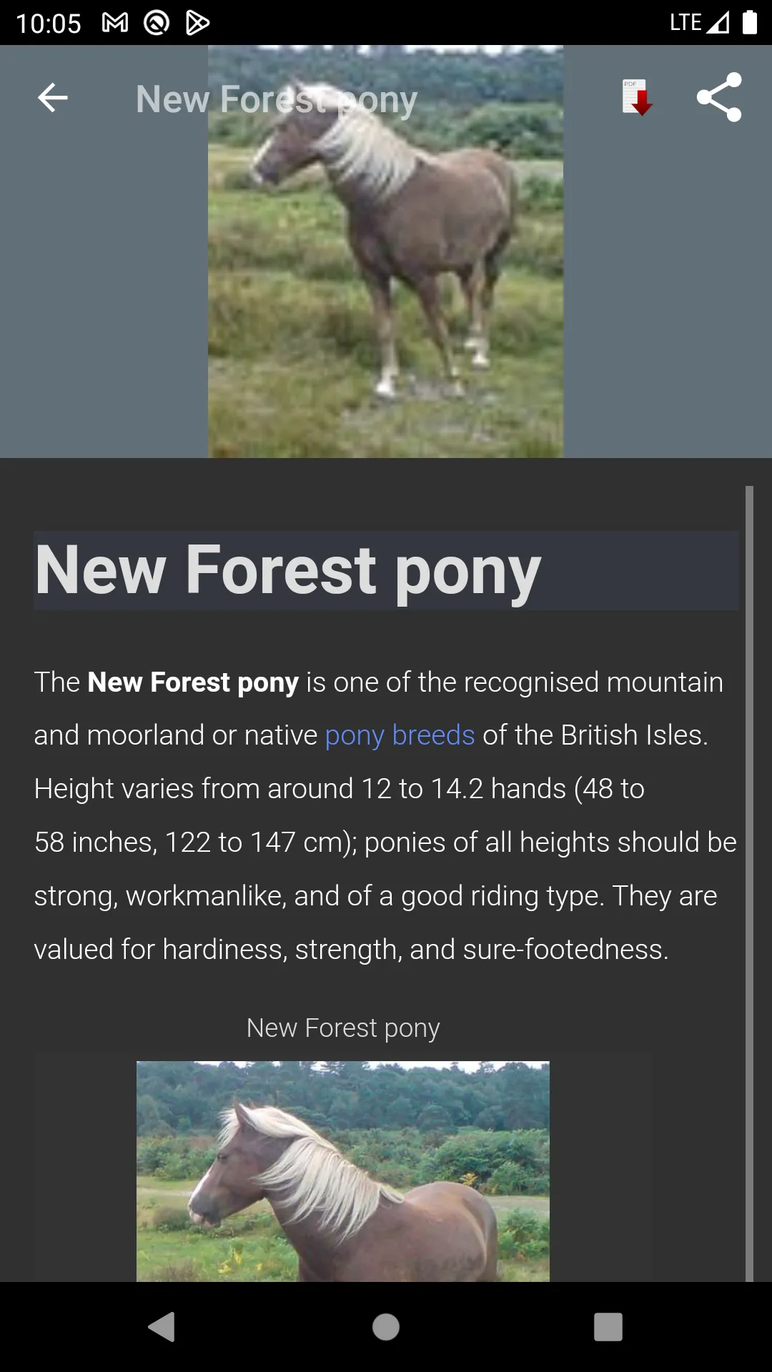 Horse breeds - Photos | Indus Appstore | Screenshot