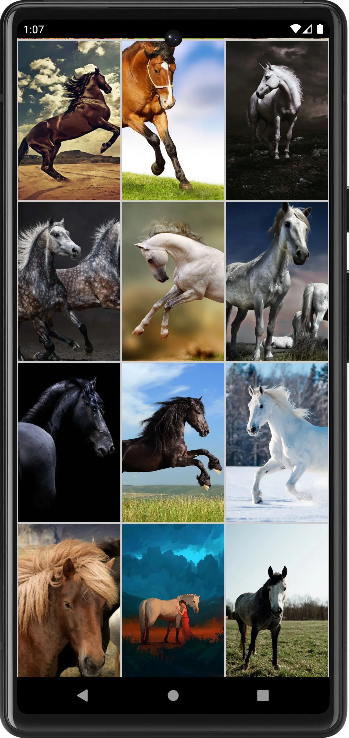 Horse Wallpapers | Indus Appstore | Screenshot