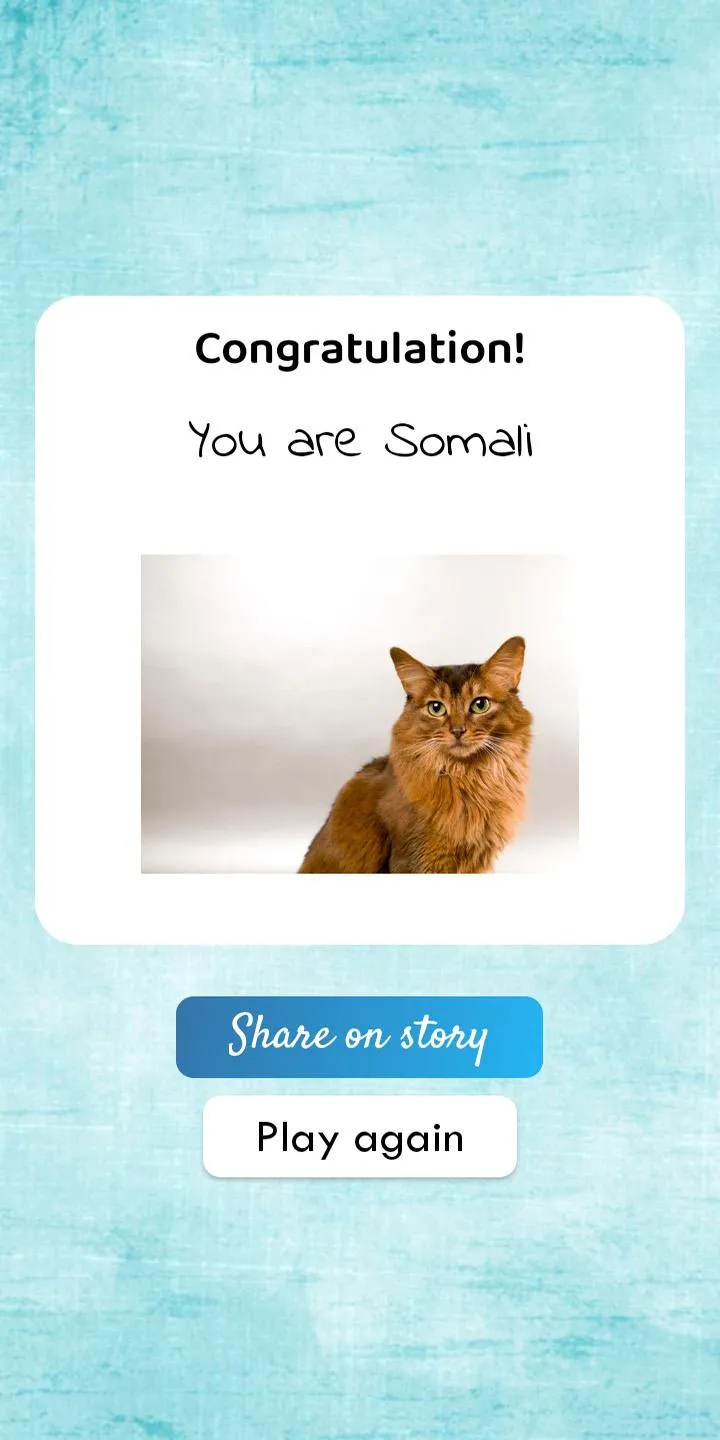 What cat breed are you? Test | Indus Appstore | Screenshot