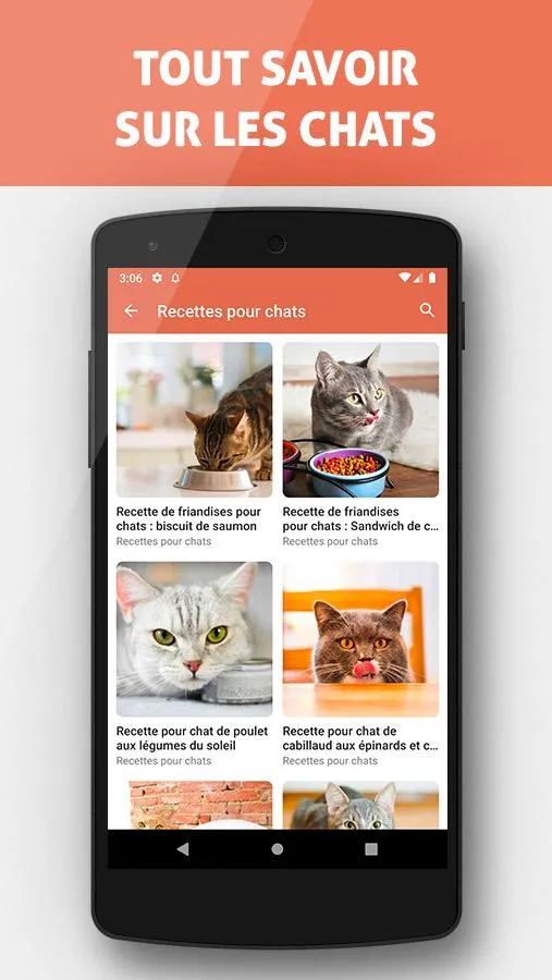 Éduquer un Chat | Indus Appstore | Screenshot