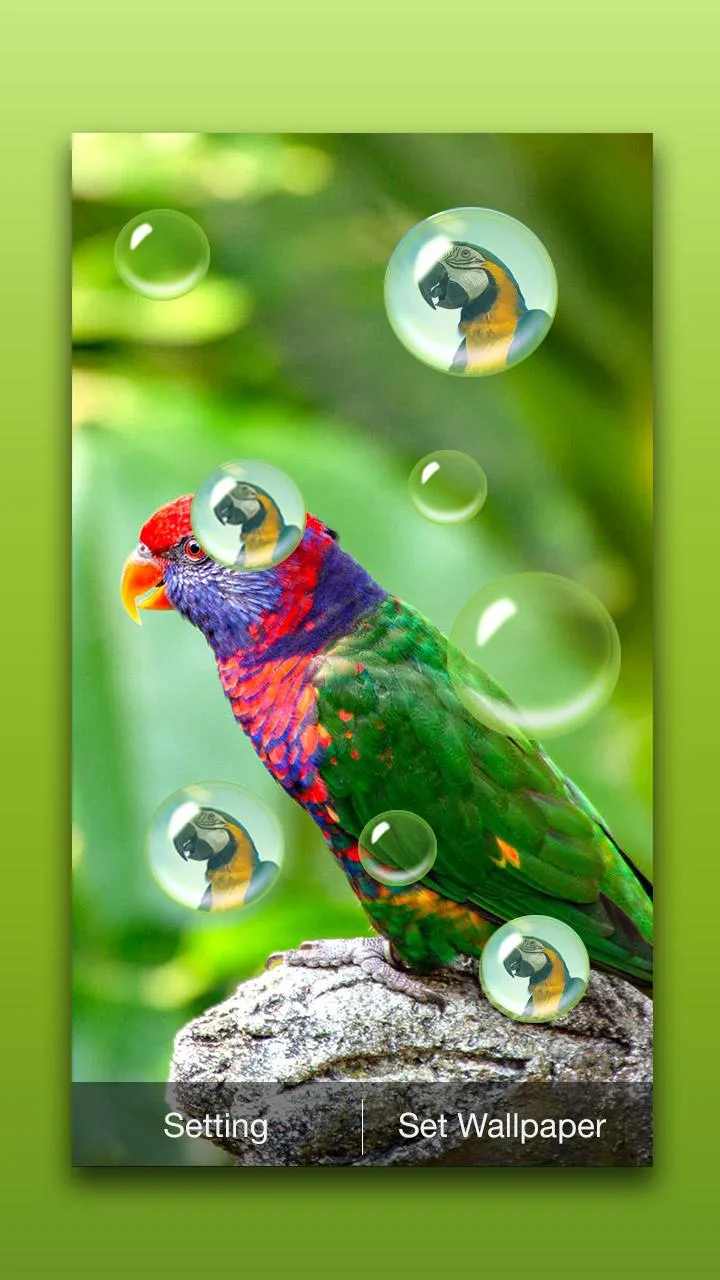 Bird Live Wallpaper | Indus Appstore | Screenshot