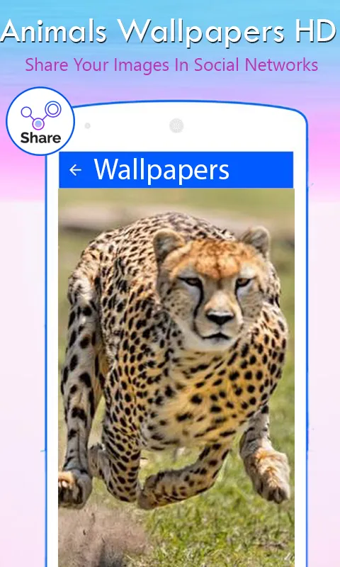 Animal wallpapers | Indus Appstore | Screenshot