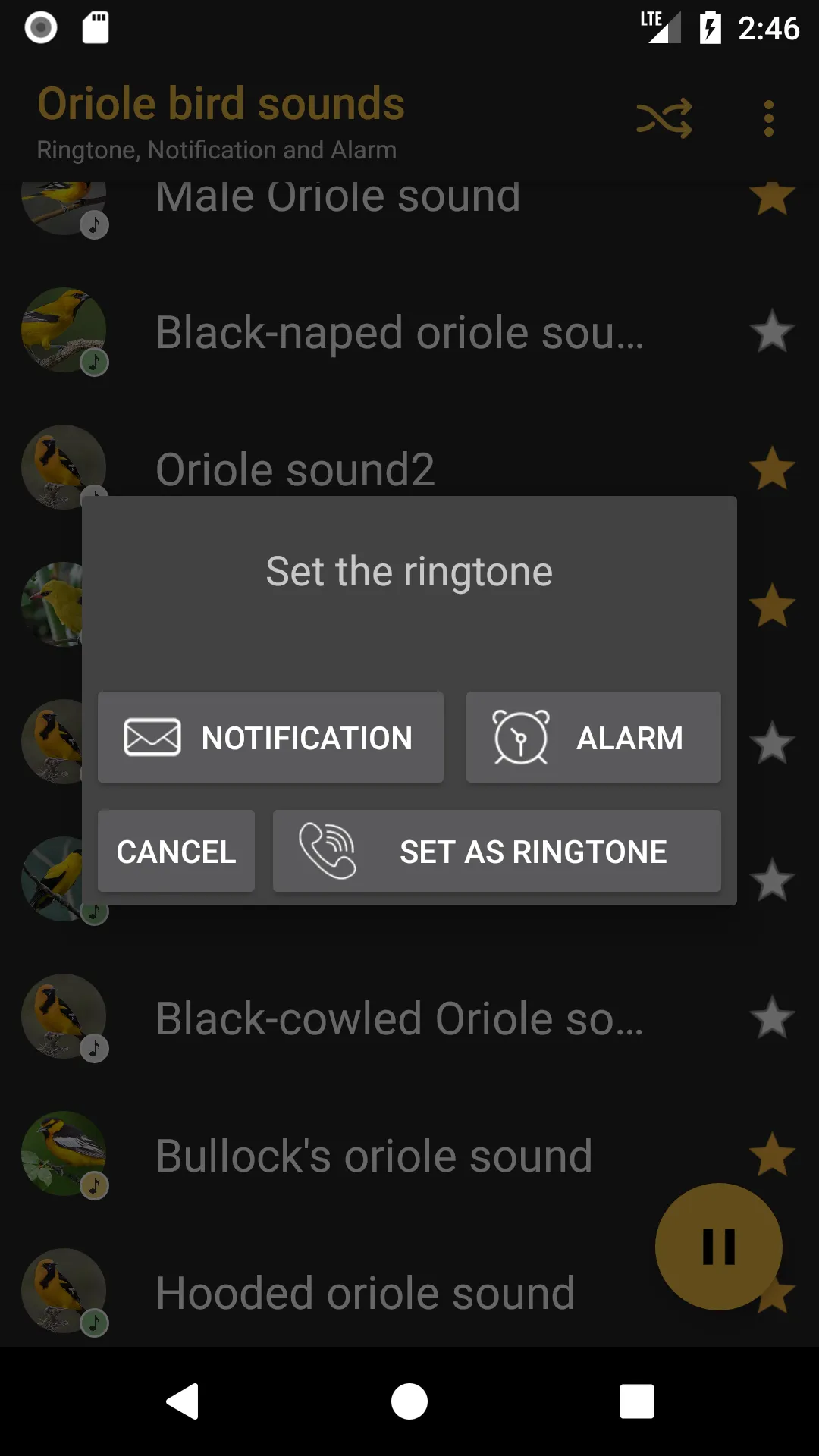 Oriole bird sounds | Indus Appstore | Screenshot