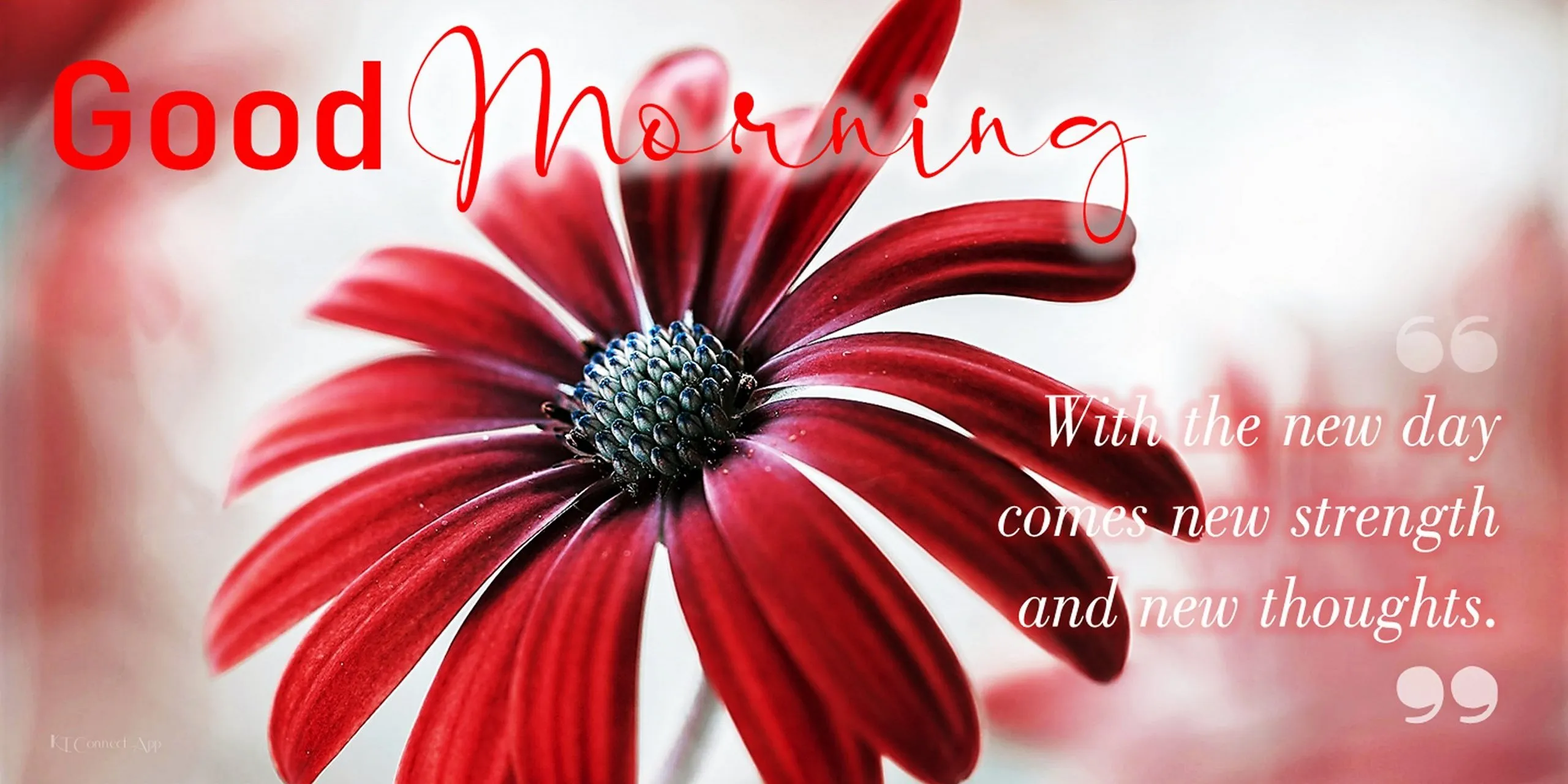 Good Morning | Indus Appstore | Screenshot