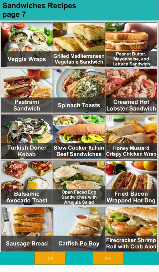 150 Homemade Sandwich Recipes | Indus Appstore | Screenshot