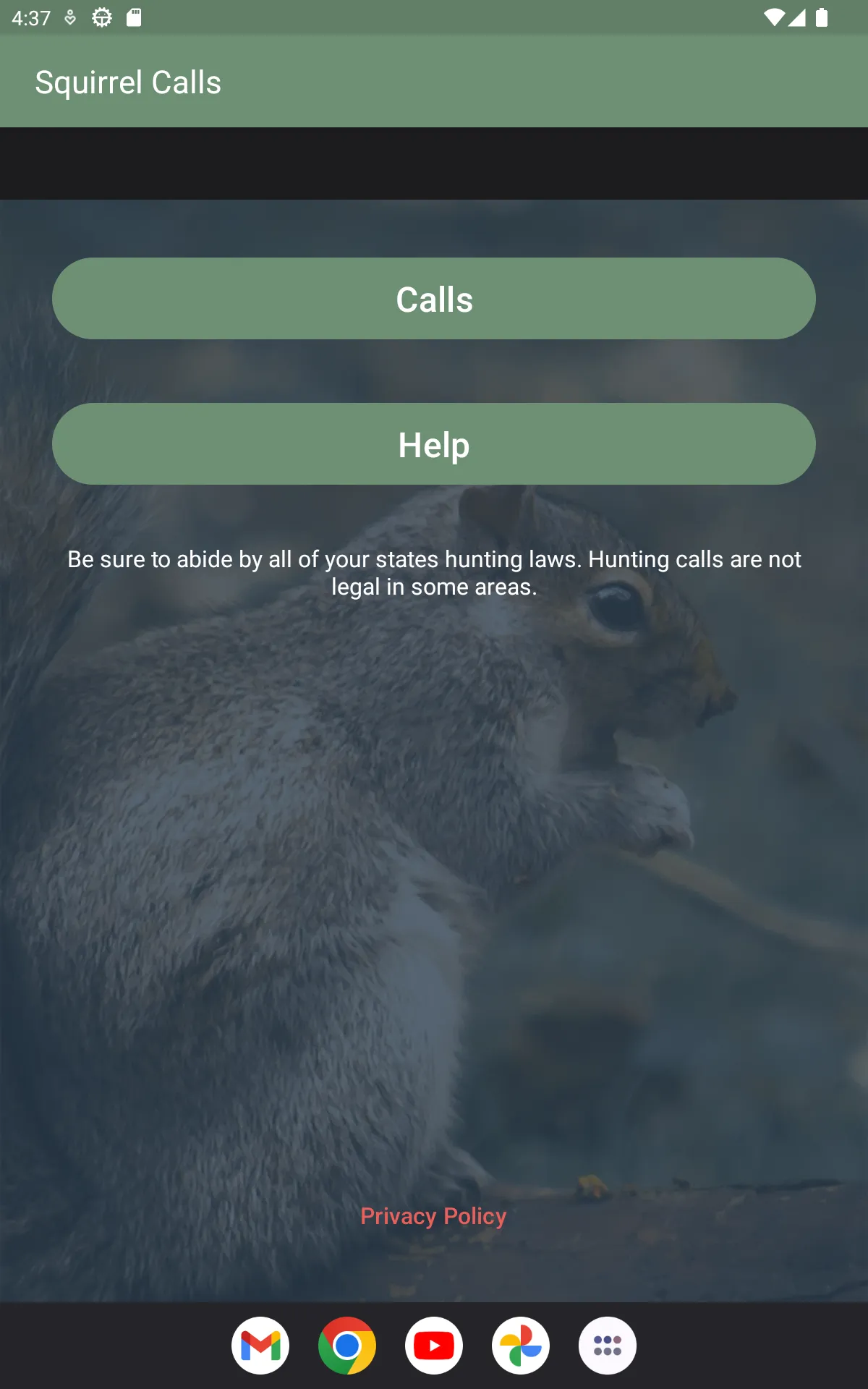 Squirrel Calls | Indus Appstore | Screenshot