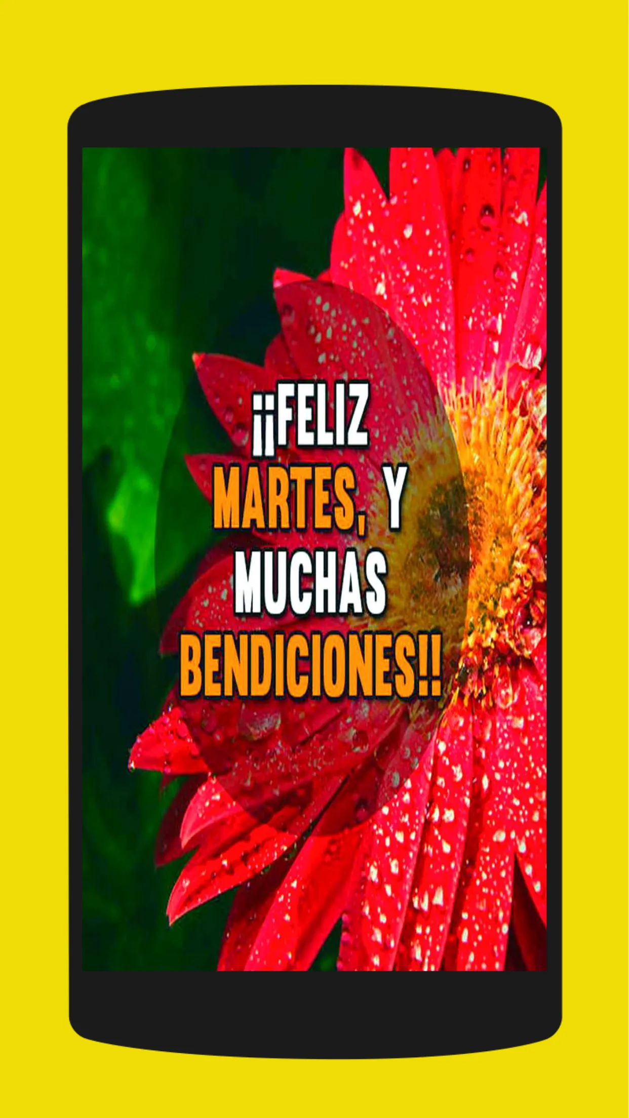 Imagenes de Saludos para Todos | Indus Appstore | Screenshot