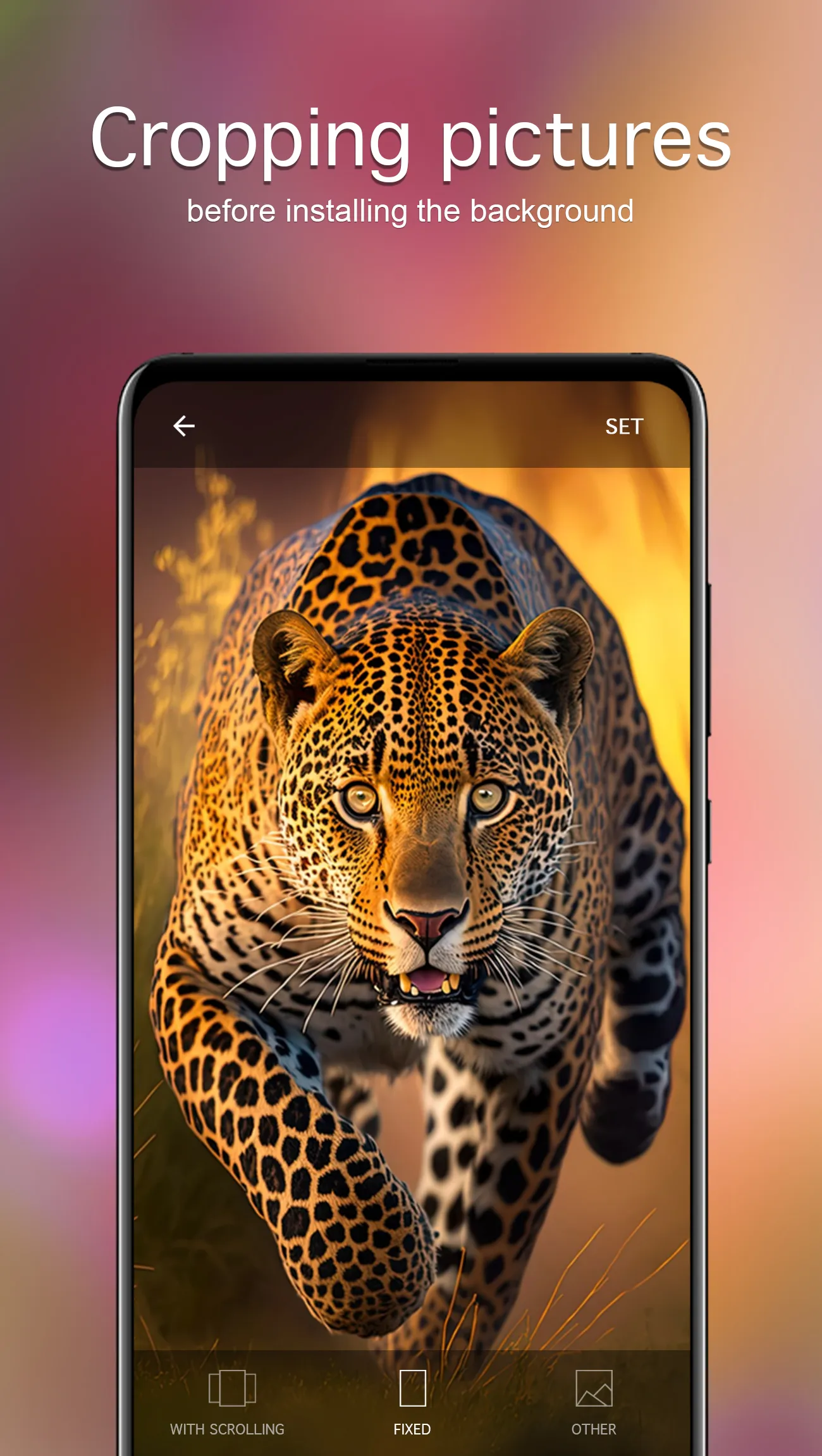 Animal Wallpapers 4K | Indus Appstore | Screenshot