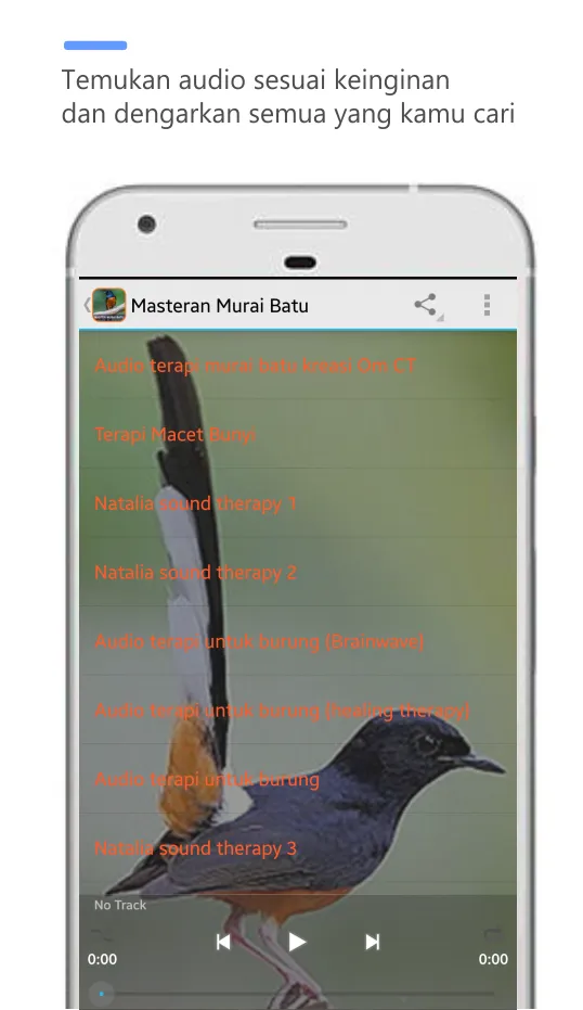 Masteran Murai Batu full isian | Indus Appstore | Screenshot