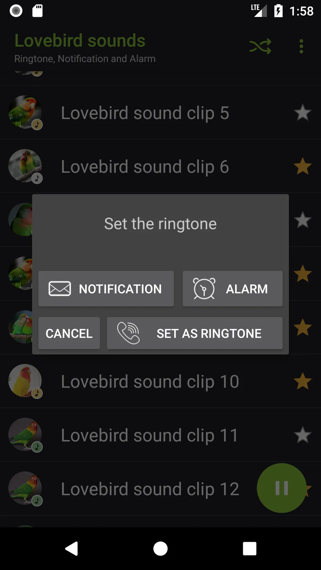 Lovebird sounds | Indus Appstore | Screenshot