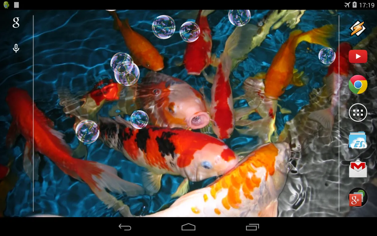 Koi Live Wallpaper | Indus Appstore | Screenshot