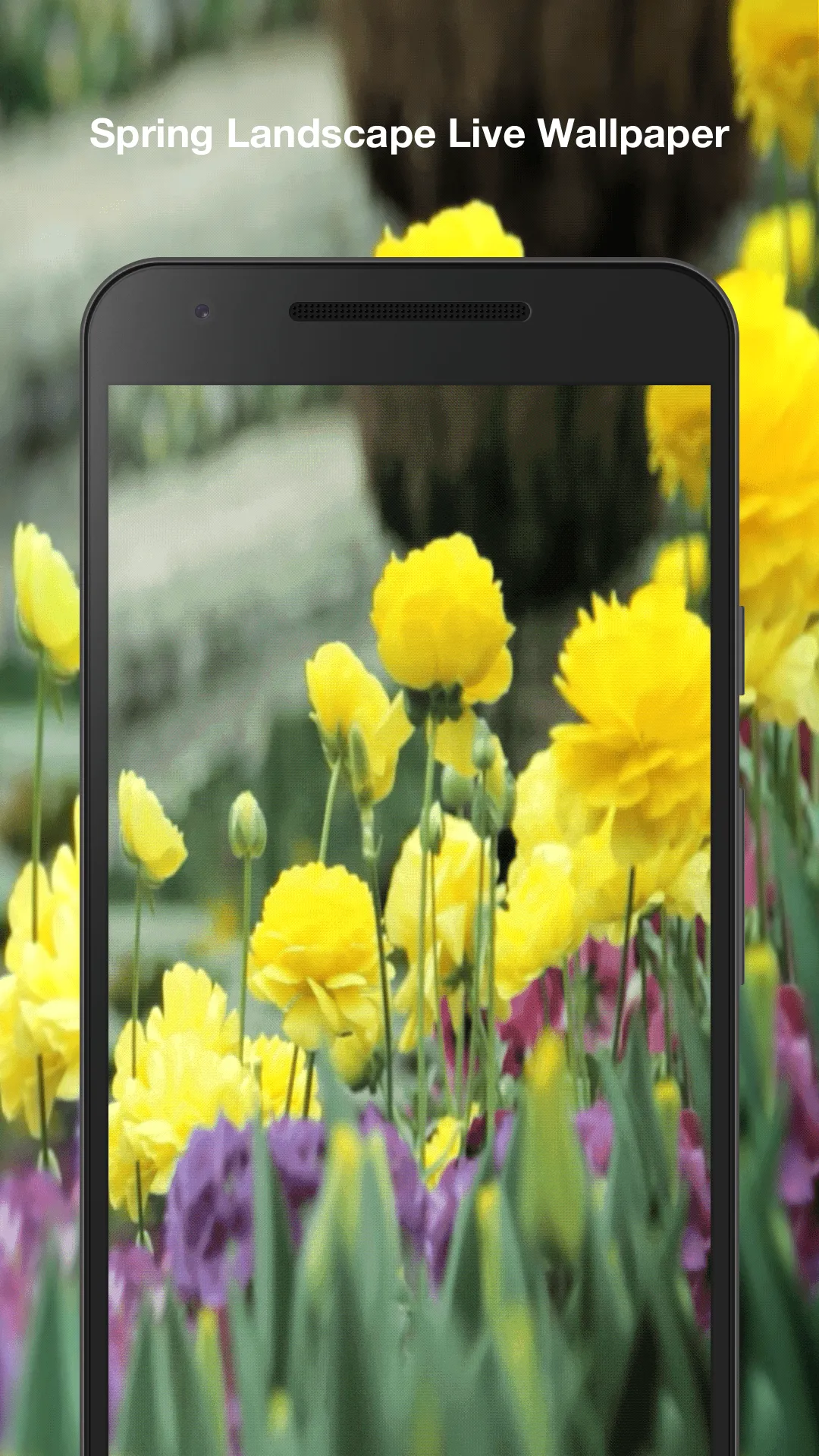 Spring Landscapes Wallpaper | Indus Appstore | Screenshot