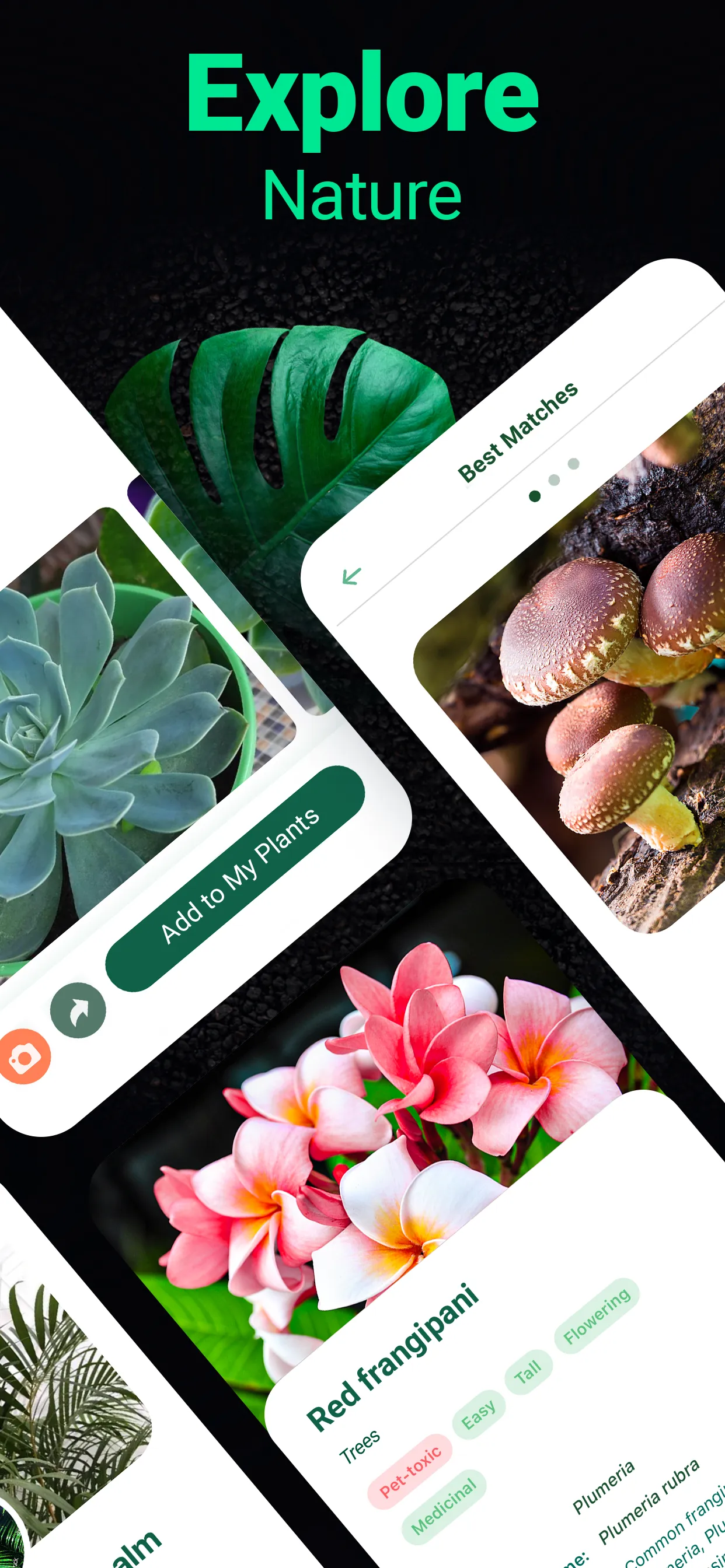 Plantum - Plant Identifier | Indus Appstore | Screenshot