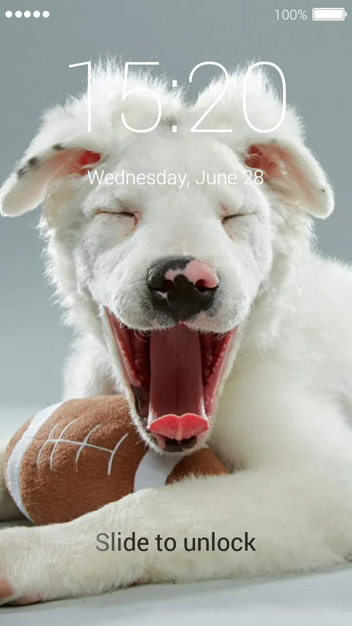 Cute Puppy Lock Screen | Indus Appstore | Screenshot