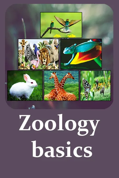 Zoology Basics | Indus Appstore | Screenshot