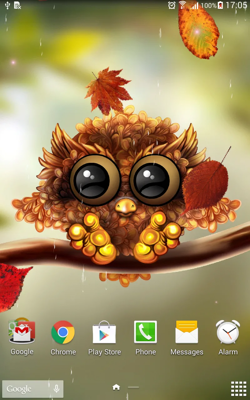 Autumn Little Owl Wallpaper | Indus Appstore | Screenshot