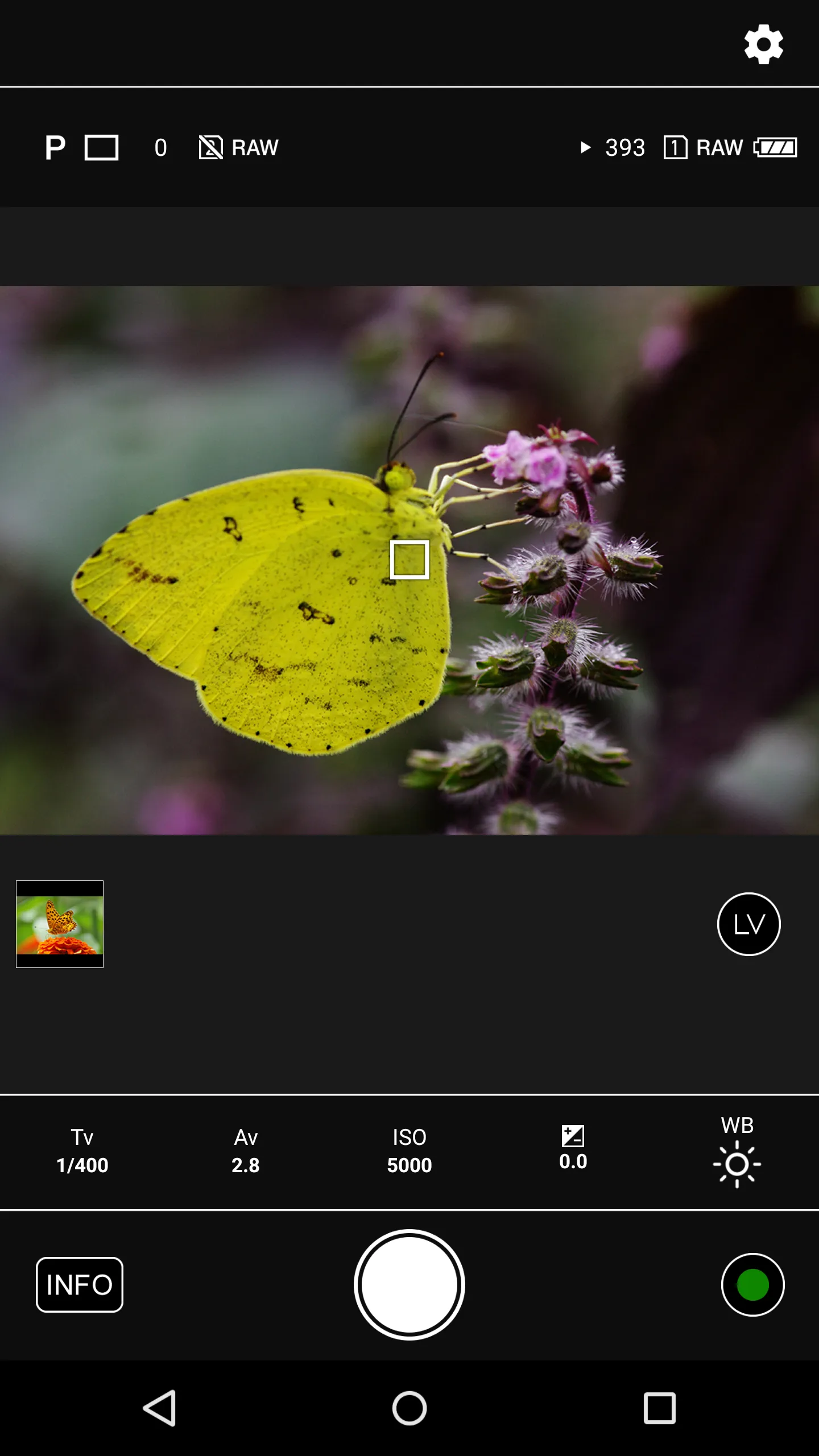 Image Sync | Indus Appstore | Screenshot