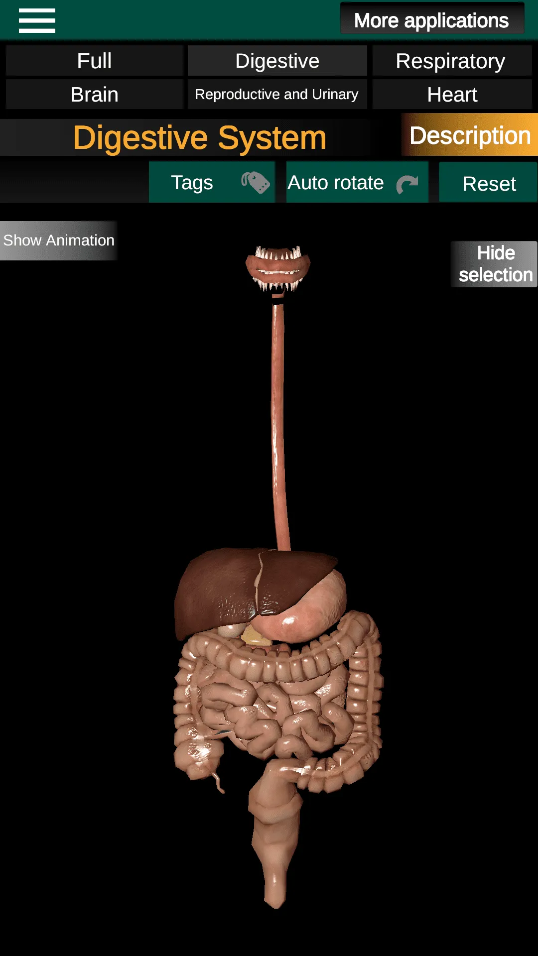 Internal Organs in 3D Anatomy | Indus Appstore | Screenshot