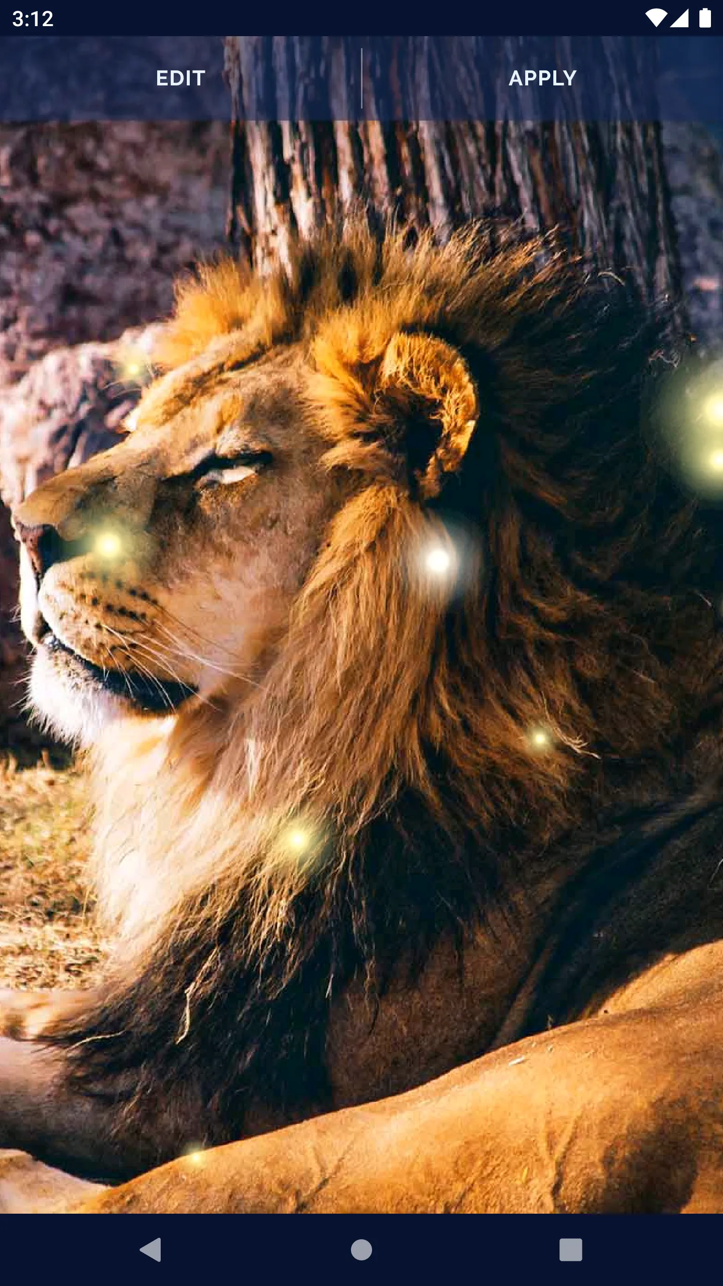 Brave Lion Live Wallpaper | Indus Appstore | Screenshot