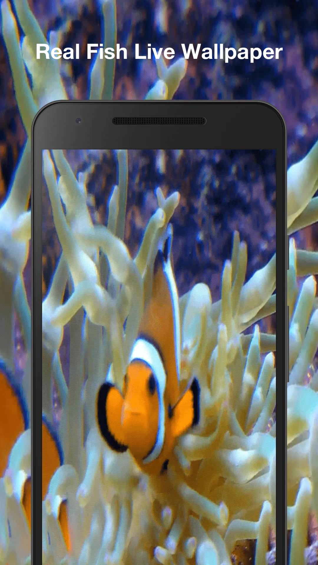 Real Fish Live Wallpaper | Indus Appstore | Screenshot