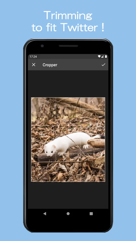 Stoat for Share - Share only | Indus Appstore | Screenshot