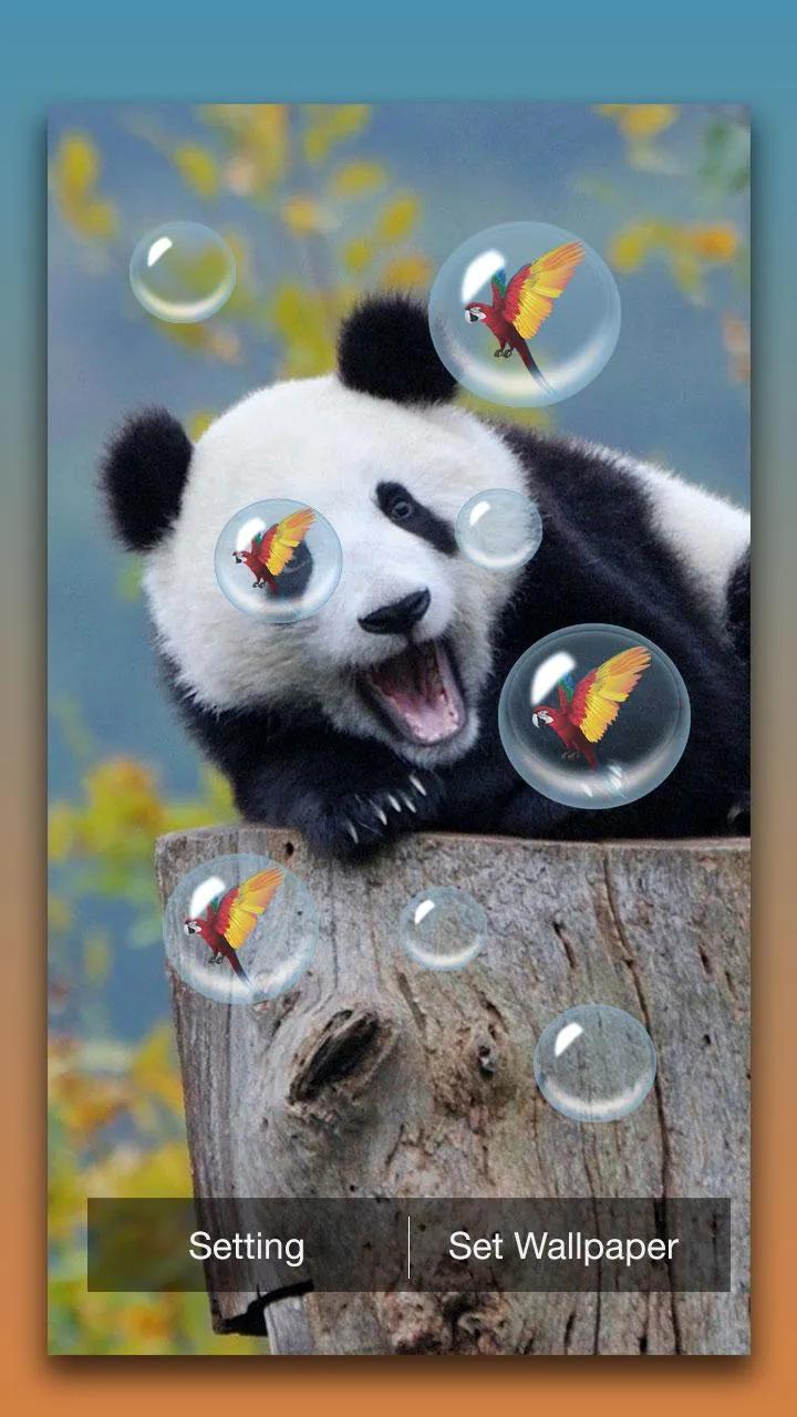 Panda Live Wallpaper | Indus Appstore | Screenshot