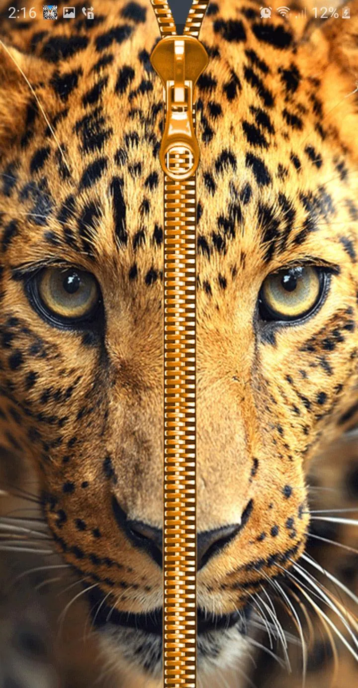 Wild Kitty Zipper Lock Screen | Indus Appstore | Screenshot