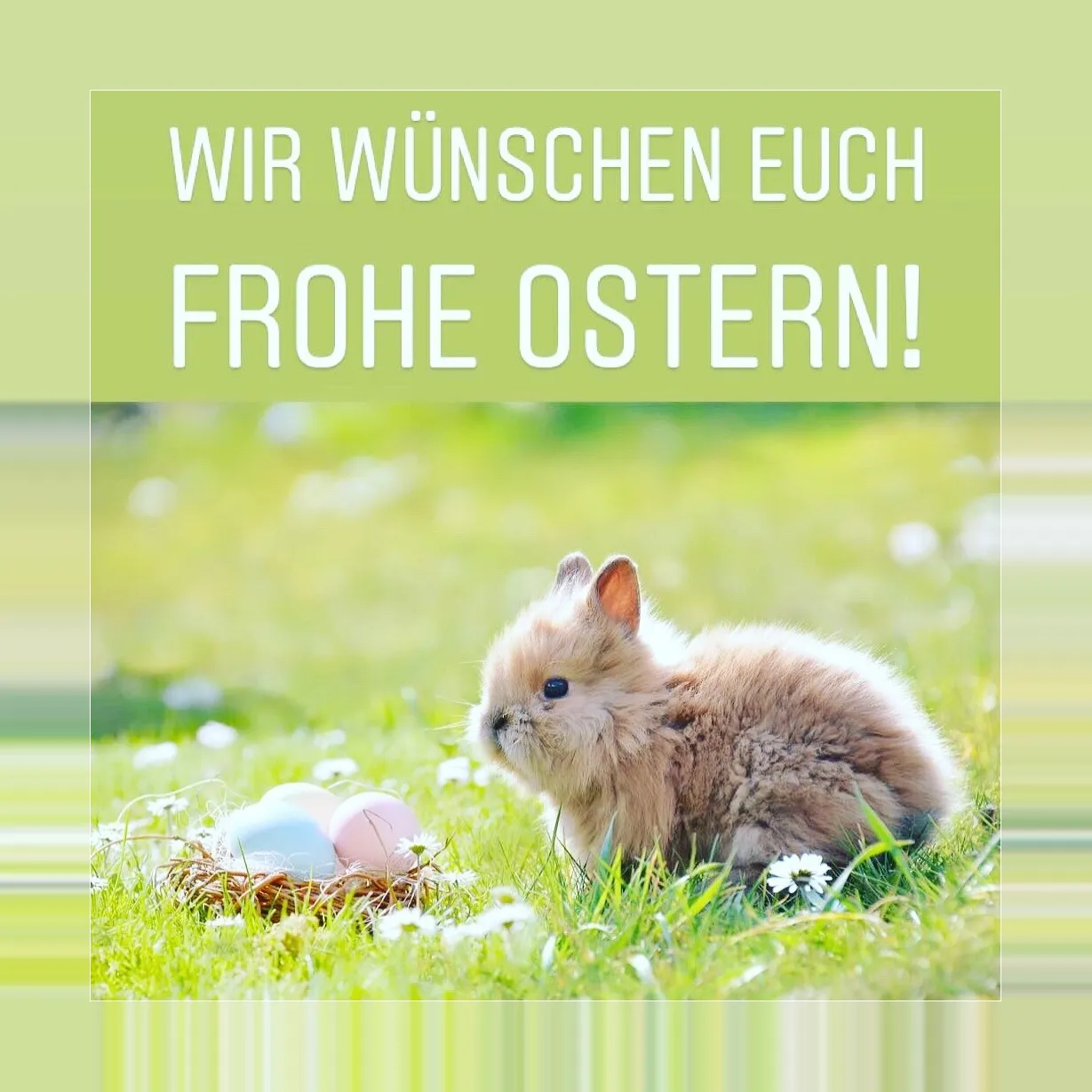 Frohe ostern | Indus Appstore | Screenshot