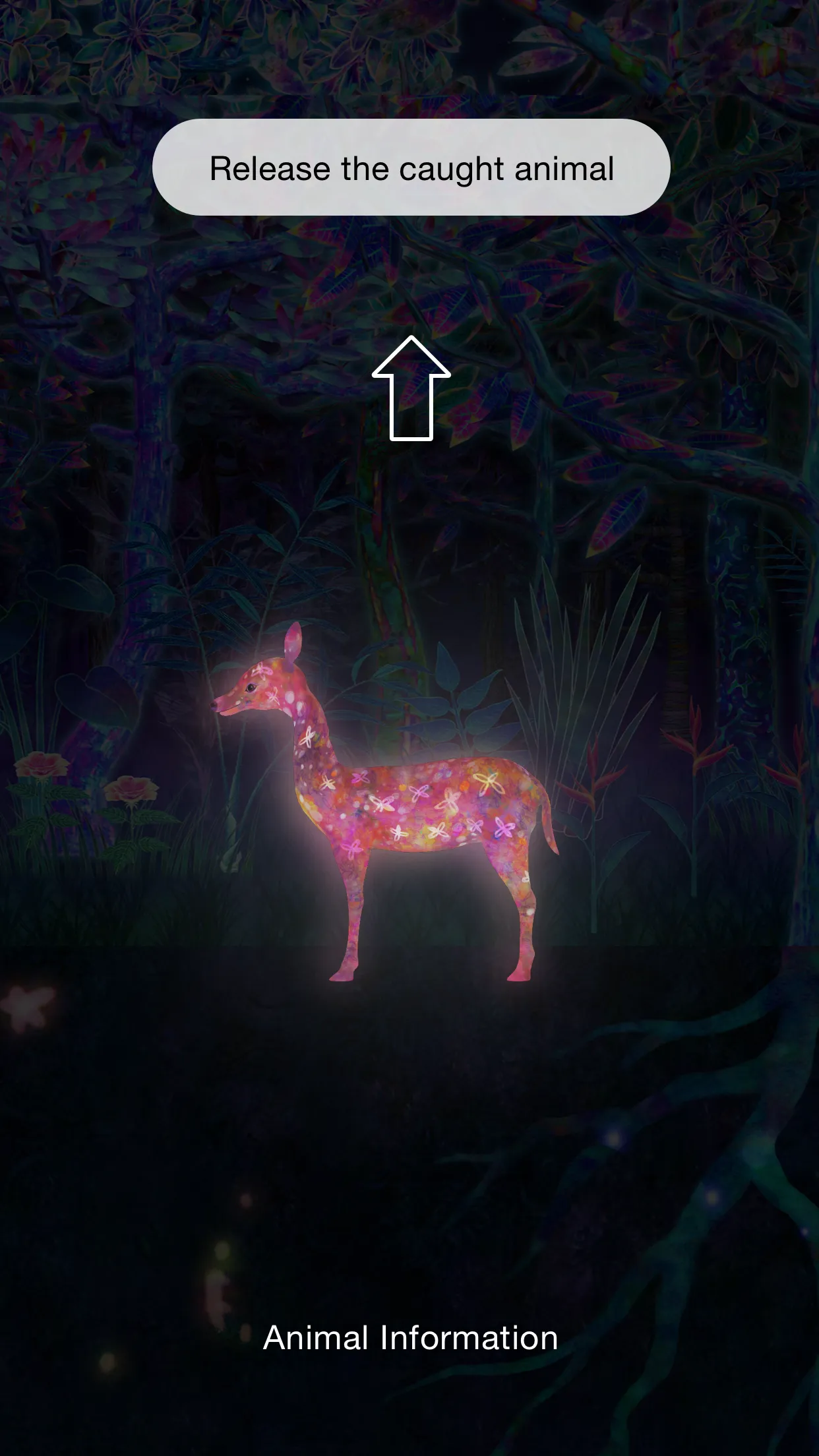 Catching and Collecting Forest | Indus Appstore | Screenshot