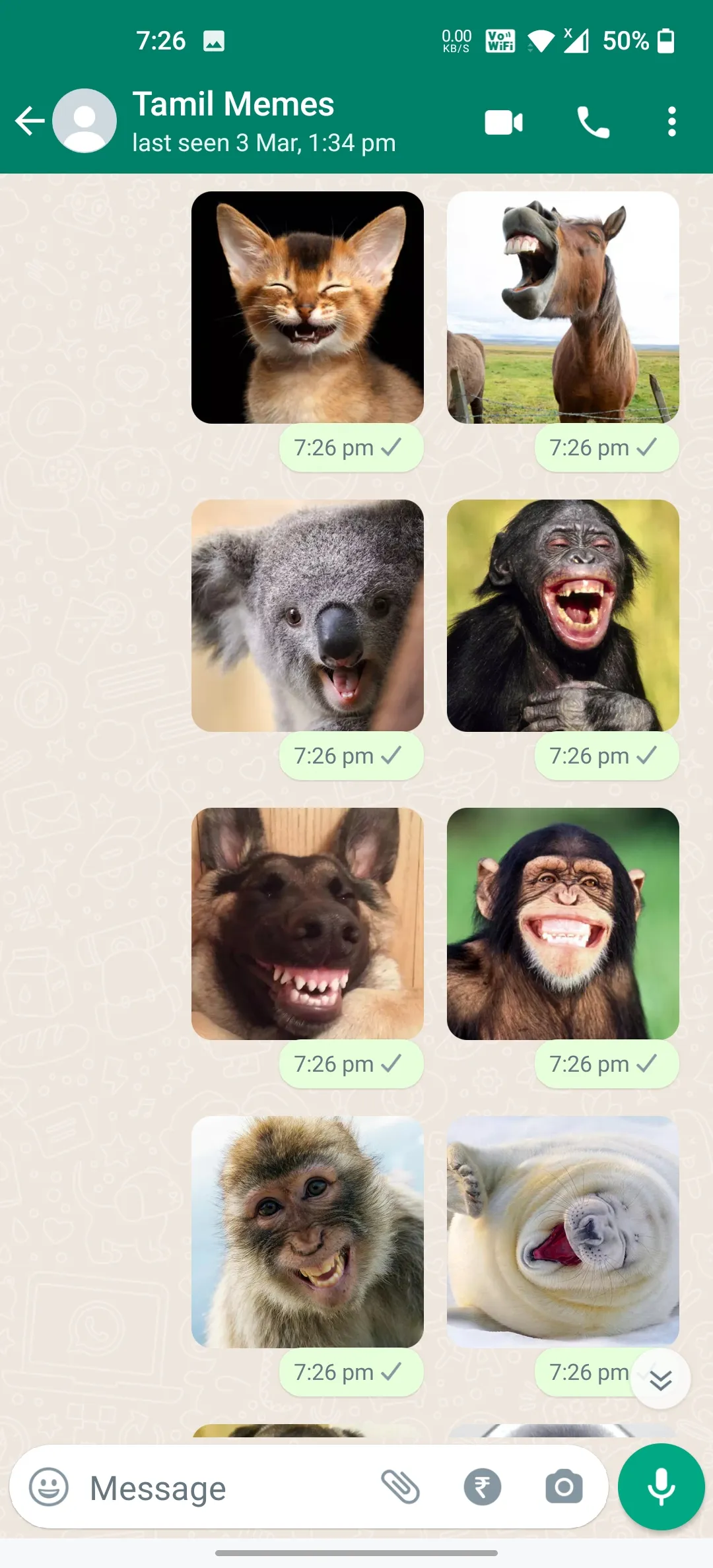 Animals Laughing Stickers | Indus Appstore | Screenshot