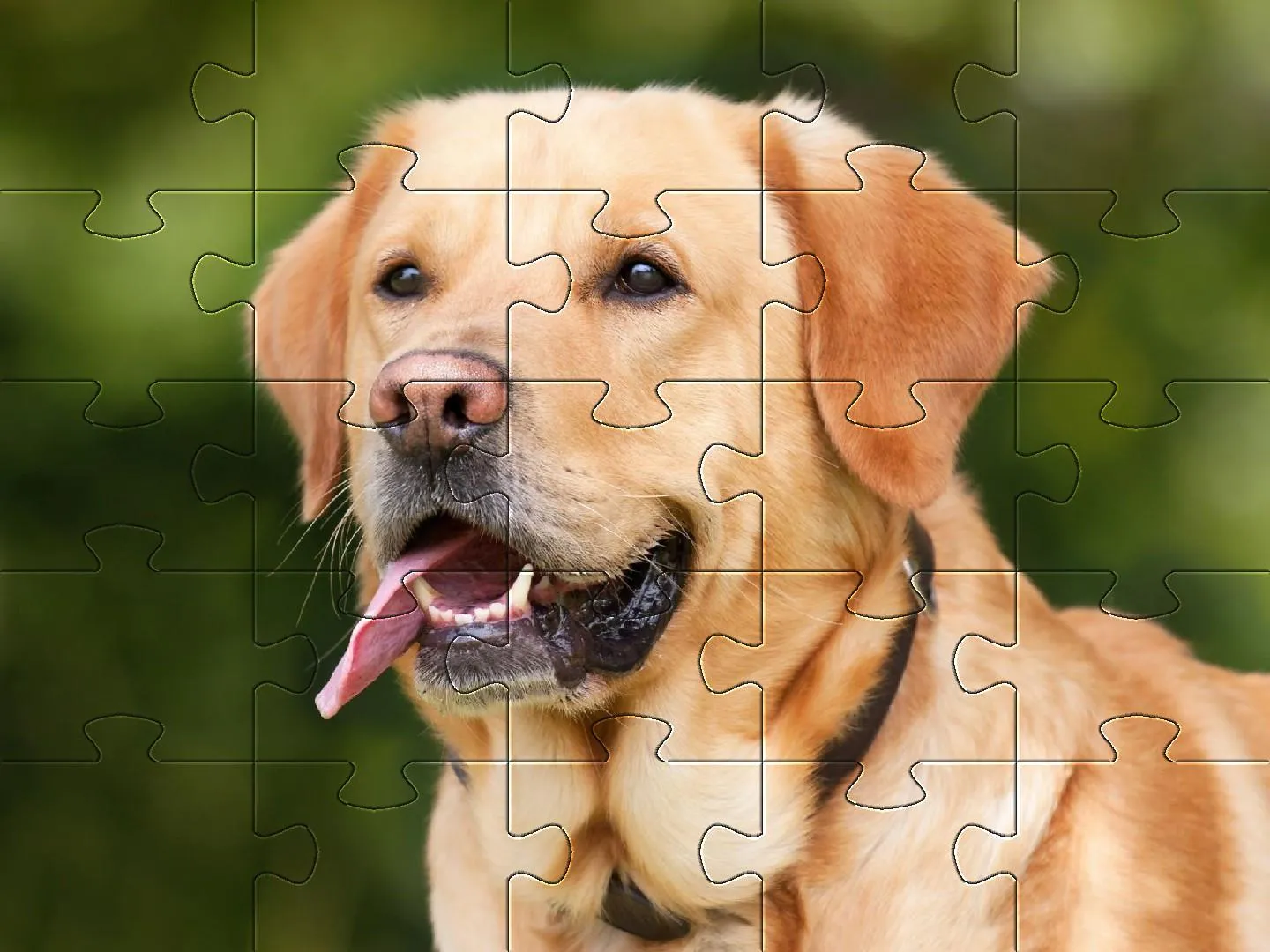 Dogs jigsaw puzzles | Indus Appstore | Screenshot