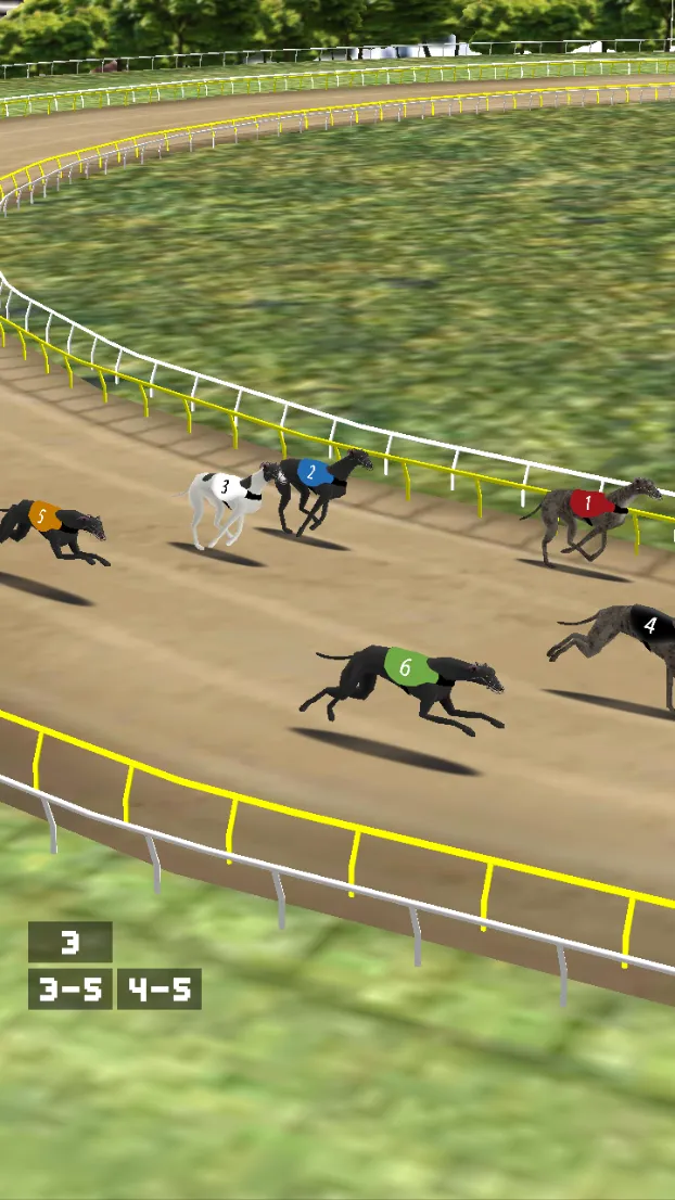 Simple Greyhound Racing | Indus Appstore | Screenshot