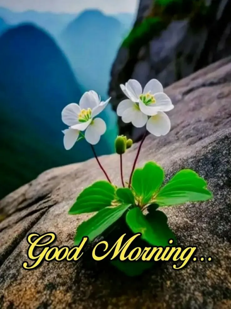 Good Morning Images 2024 | Indus Appstore | Screenshot