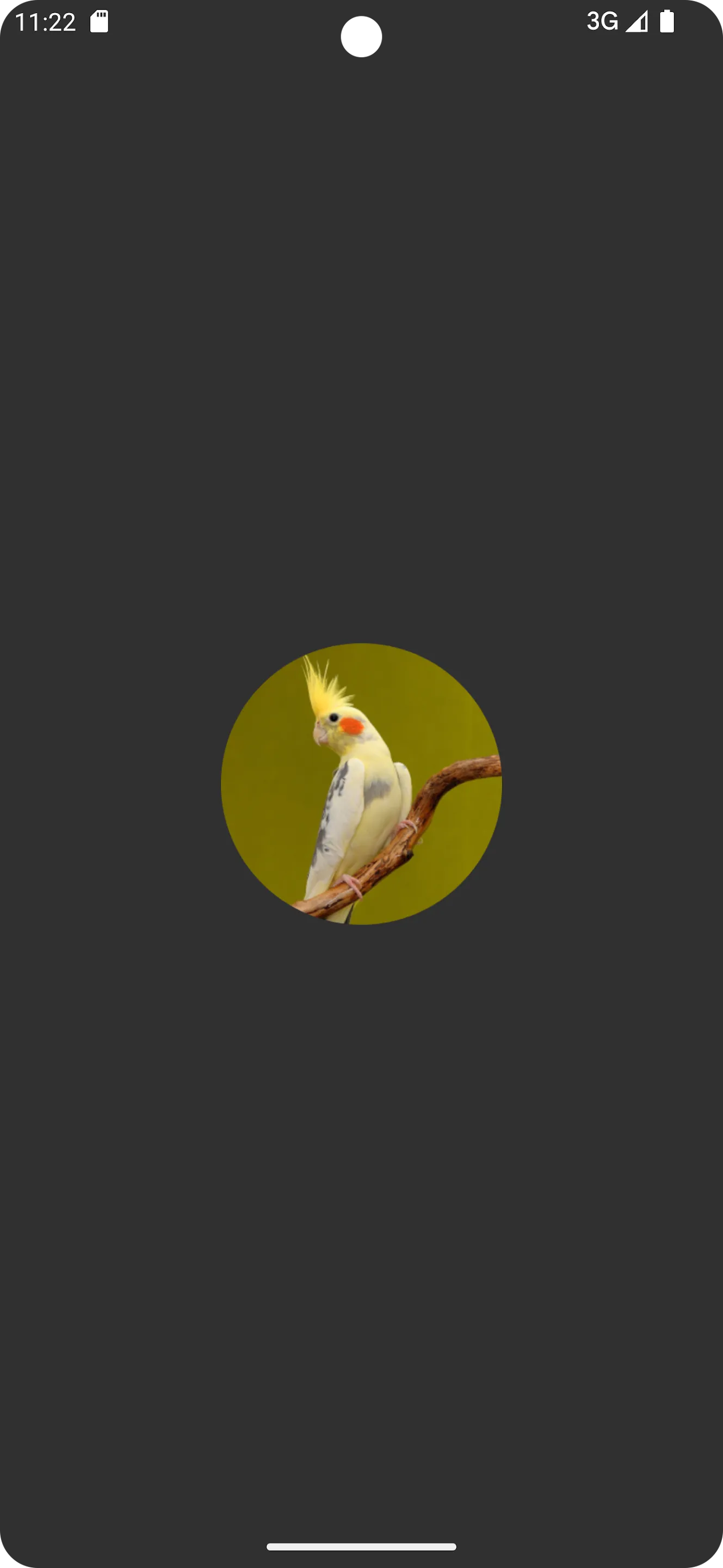 Cockatiel Sounds | Indus Appstore | Screenshot