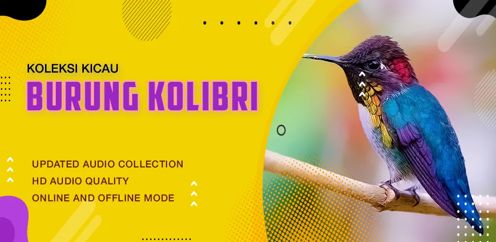 Suara Kicau: Burung Kolibri | Indus Appstore | Screenshot