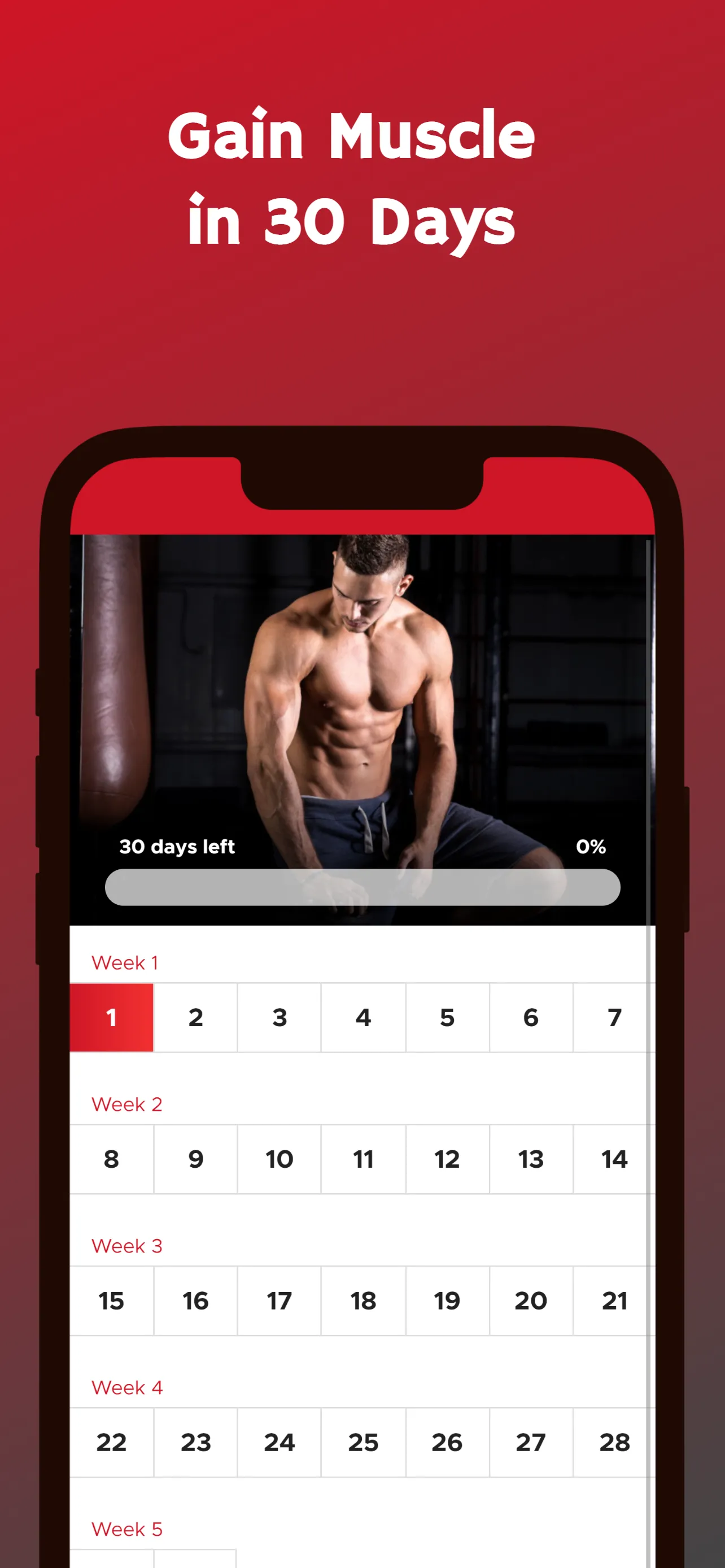 Bulk Up at Home - Build Muscle | Indus Appstore | Screenshot