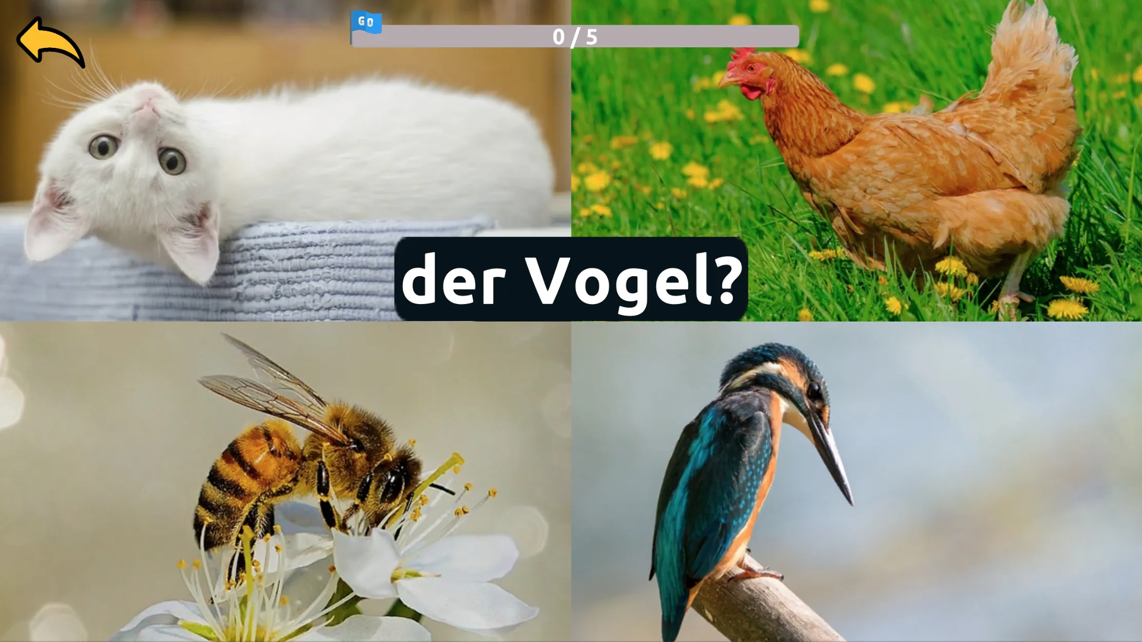 Learn Animals in German | Indus Appstore | Screenshot