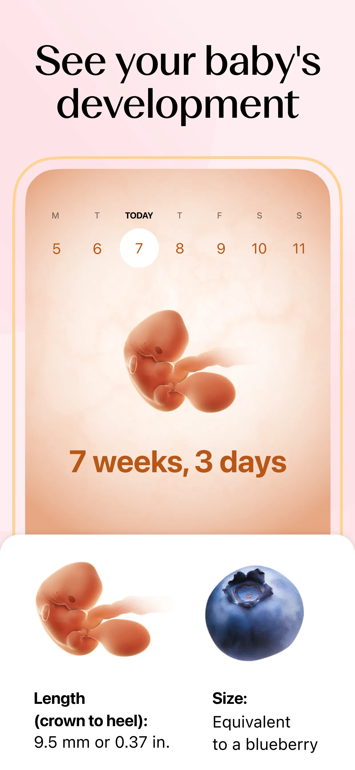 Flo Period & Pregnancy Tracker | Indus Appstore | Screenshot