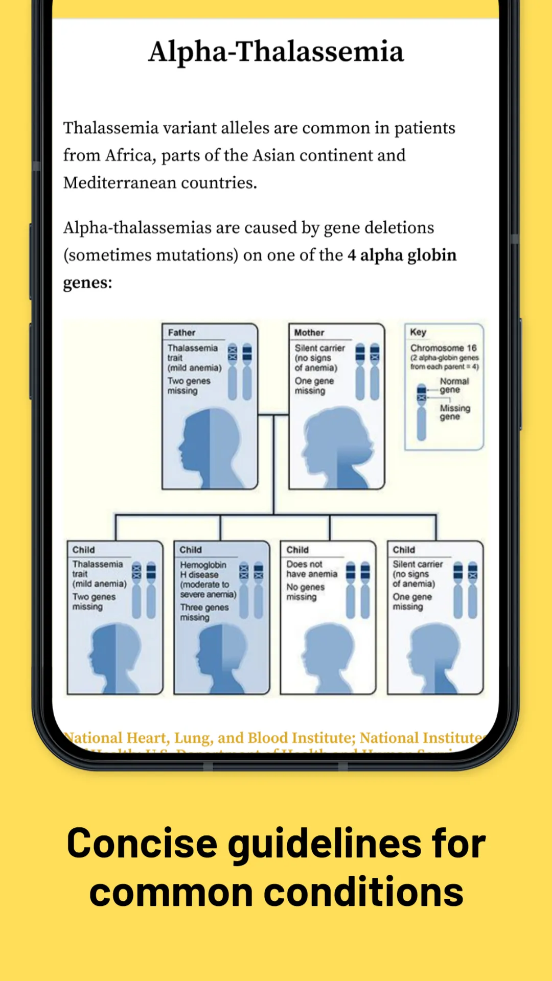 Refugee Care | Indus Appstore | Screenshot